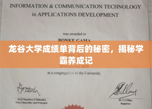 龙谷大学成绩单背后的秘密，揭秘学霸养成记
