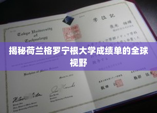 荷兰格罗宁根大学成绩单的全球视野