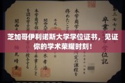芝加哥伊利诺斯大学学位荣耀，成就非凡学术里程碑