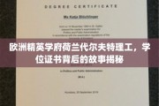 荷兰代尔夫特理工，揭秘精英学府的学位证书传奇之路
