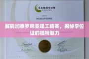 解锁加泰罗尼亚理工骄子学位证背后的非凡故事