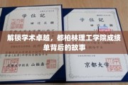 探秘都柏林理工学院，揭秘卓越成绩背后的学术传奇