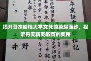 哥本哈根大学荣耀解码，揭秘丹麦精英教育的独特魅力