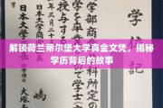 解锁荷兰蒂尔堡大学真金文凭，揭秘学历背后的故事