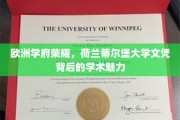 荷兰蒂尔堡大学，欧洲教育璀璨明珠，文凭价值与学术风采并存