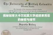 加拿大卡尔加里大学成绩单的隐藏真相，解锁学术成绩的深层解读