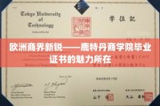 鹿特丹商学院证书，开启欧洲商界新纪元的通行证