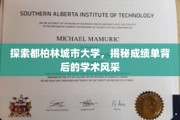 解码都柏林城市大学，成绩单映照下的学术魅力之旅
