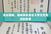 龙谷秘境，揭秘顶级文凭背后的传奇之路