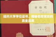 纽约大学学位背后，探寻顶级学府的璀璨价值
