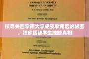 揭开关西学院大学成绩单神秘面纱，揭秘学生成绩背后的真实故事