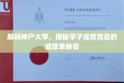 神户大学学霸养成记，揭秘高分背后的惊人成绩单