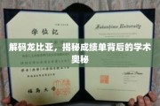 龙比亚成绩单解码，探寻学术成就的深层秘密