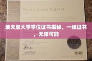 埃夫里大学学位证书揭秘，一纸证书，无限可能