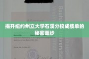 解锁纽约州立大学石溪分校成绩单背后的神秘世界