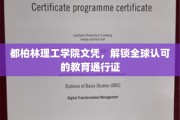 国际通行证在手，都柏林理工学院文凭带你飞越全球职场