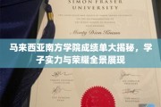 马来西亚南方学院成绩单大揭秘，学子实力与荣耀全景展现