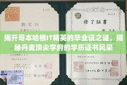 解码哥本哈根IT精英学历凭证，探寻丹麦高等学府证书魅力