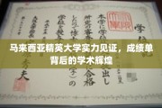 马来西亚精英大学，揭秘学术卓越背后的耀眼成绩单