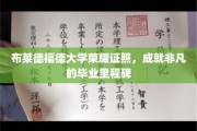 布莱德福德荣耀时刻，毕业生手握非凡成就证书，开启人生新篇章